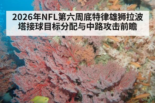 2026年NFL第六周底特律雄狮拉波塔接球目标分配与中路攻击前瞻（jiuyou game）